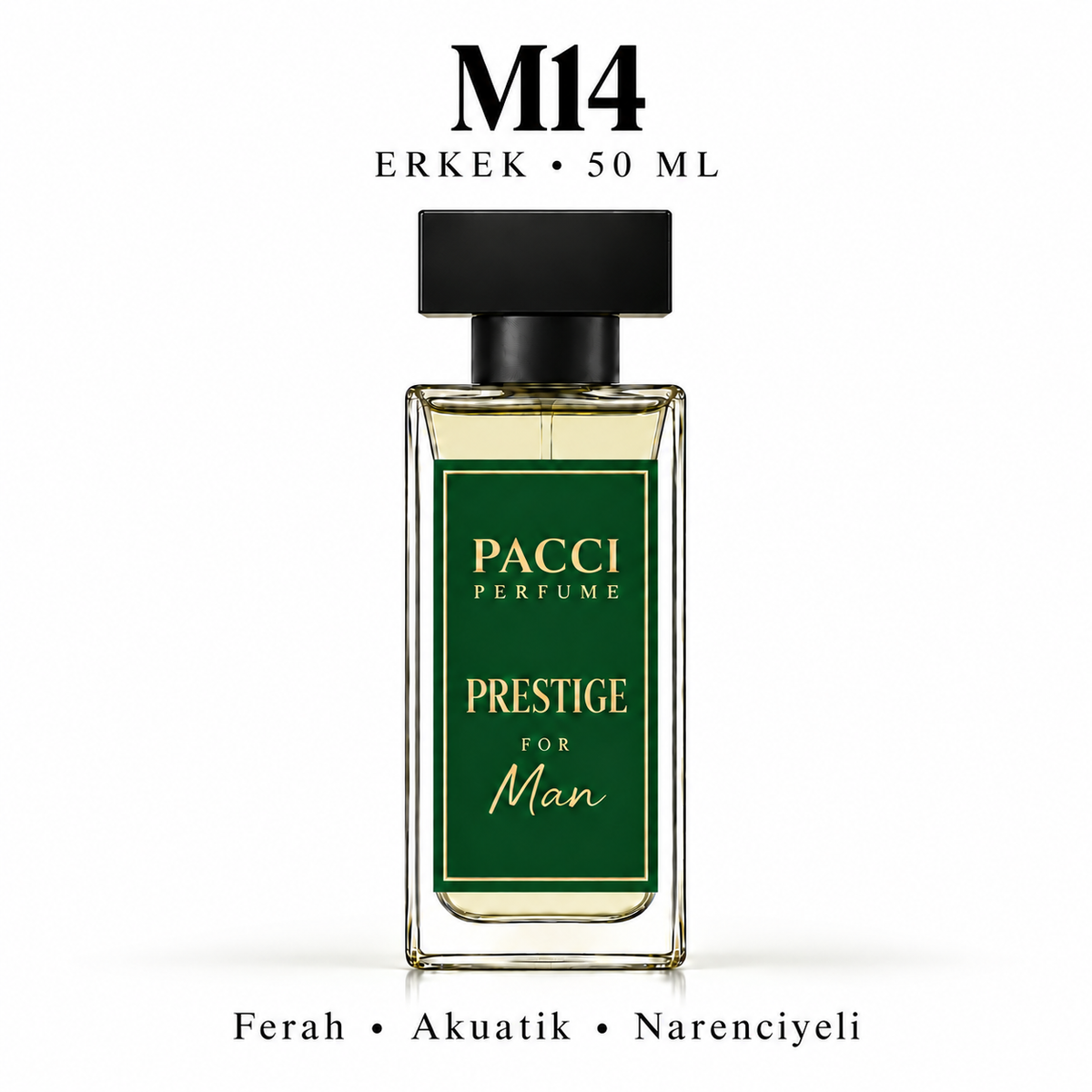 PACCI M14 Erkek Parfümü 50 ML – Ferah • Akuatik • Narenciyeli