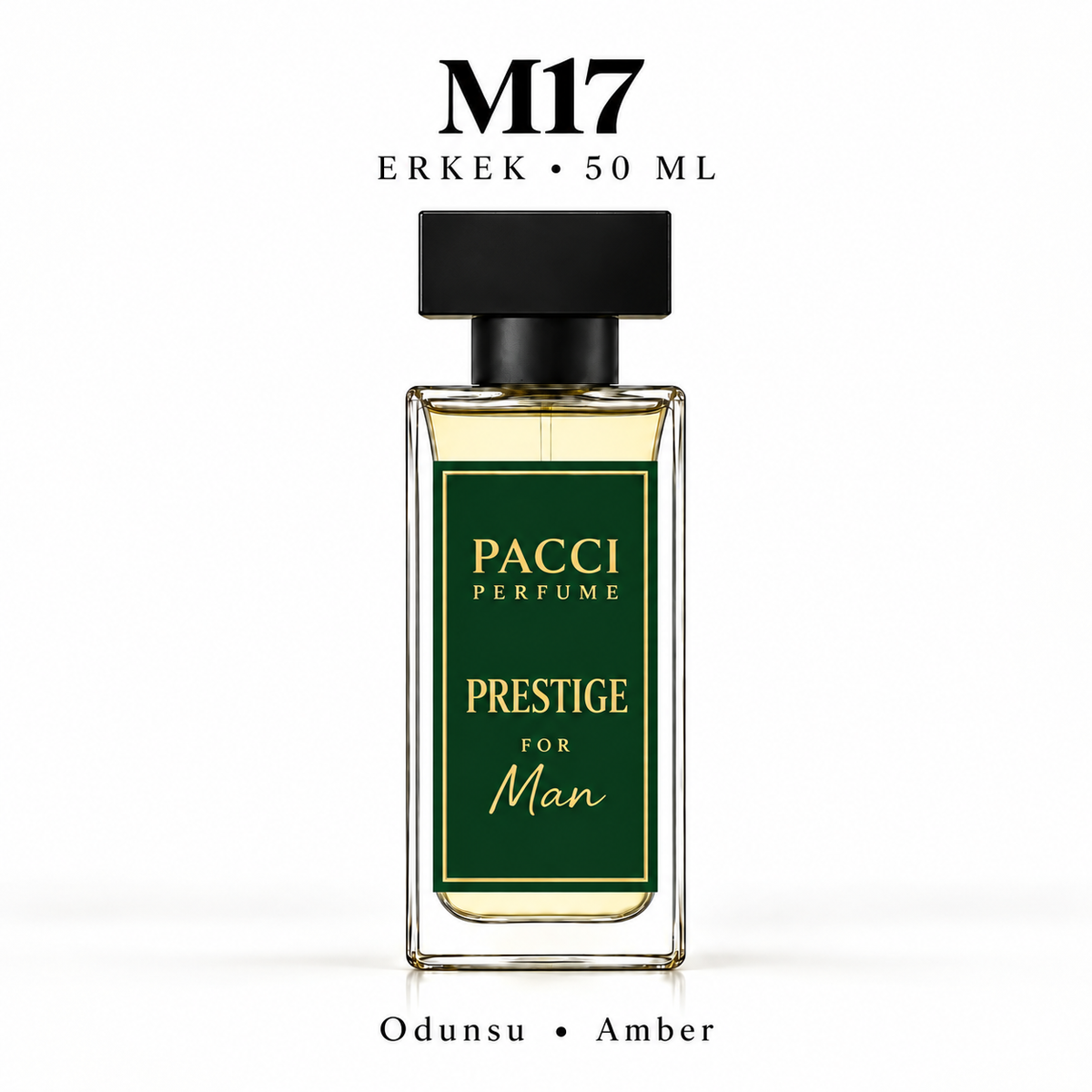 PACCI M17 Erkek Parfümü 50 ML – Odunsu • Amber