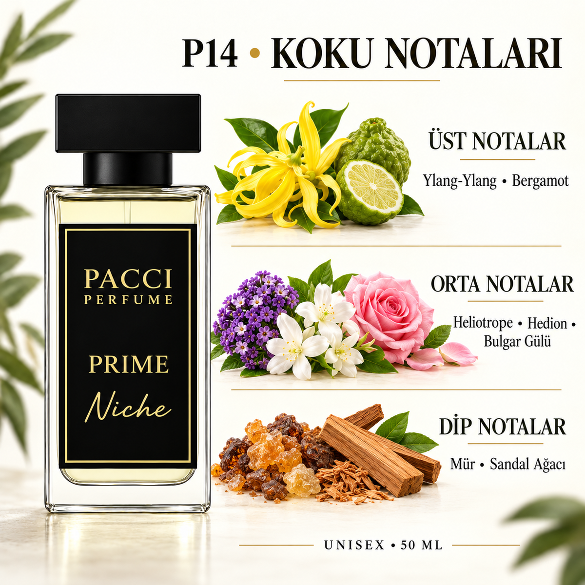PACCI P14 niche unisex parfüm – gül, mür ve vanilya notaları