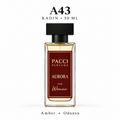PACCI A43 Kadın Parfümü 50 ML – Amber • Odunsu