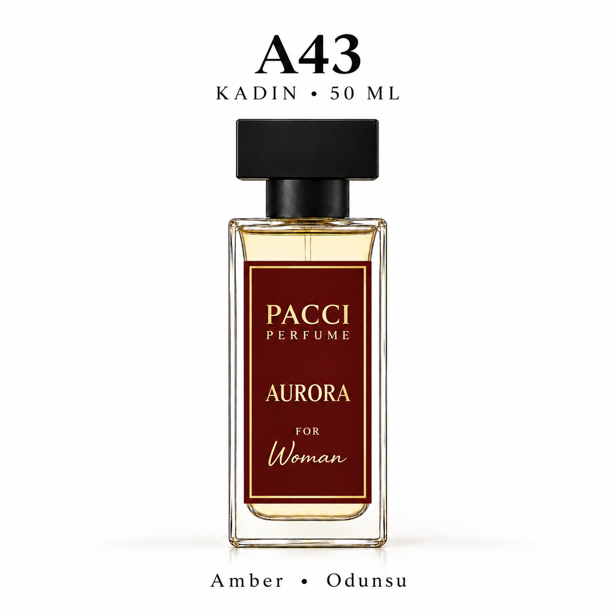 PACCI A43 Kadın Parfümü 50 ML – Amber • Odunsu