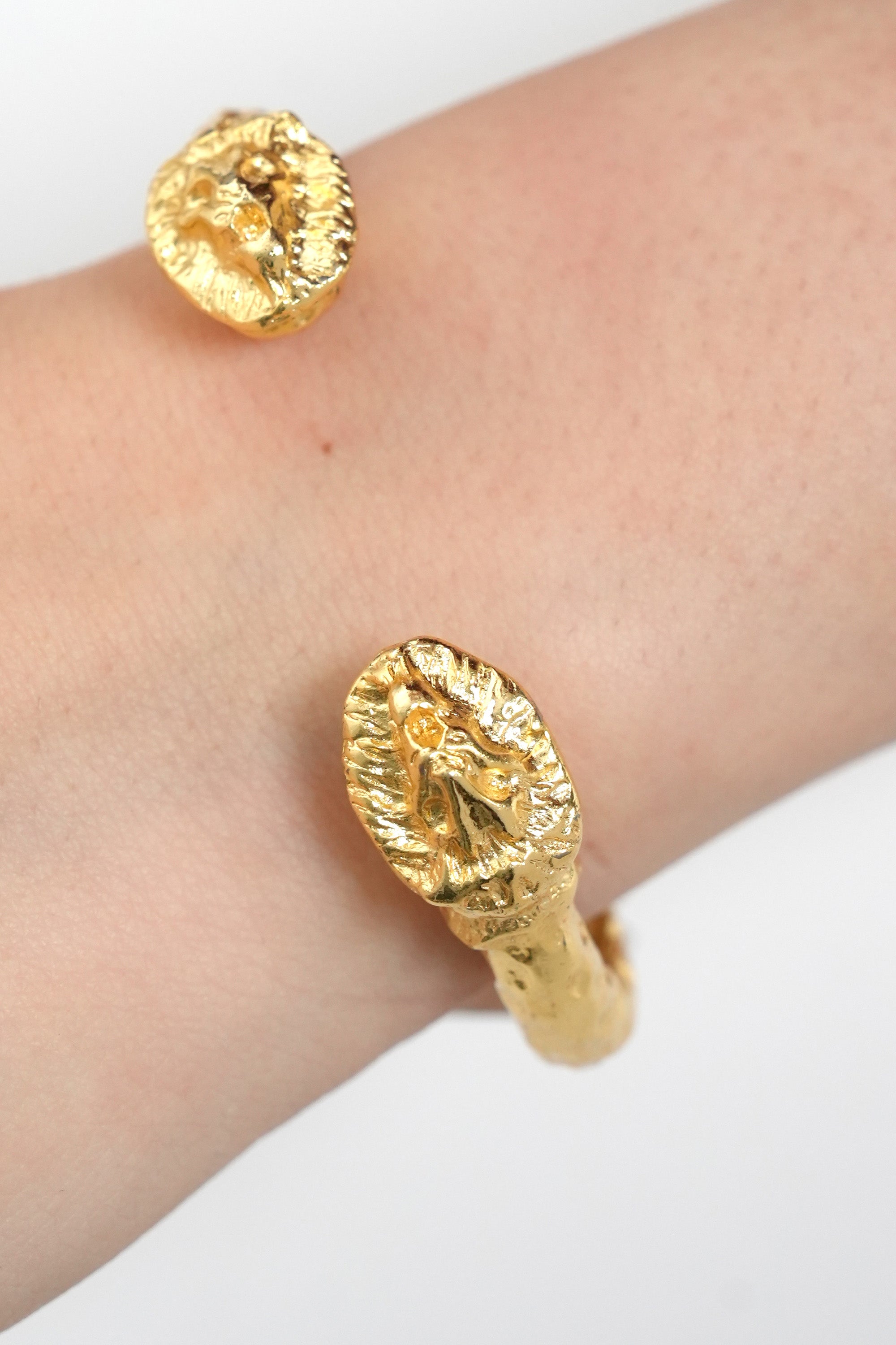 İkili Güç ZR Model Kelepçe