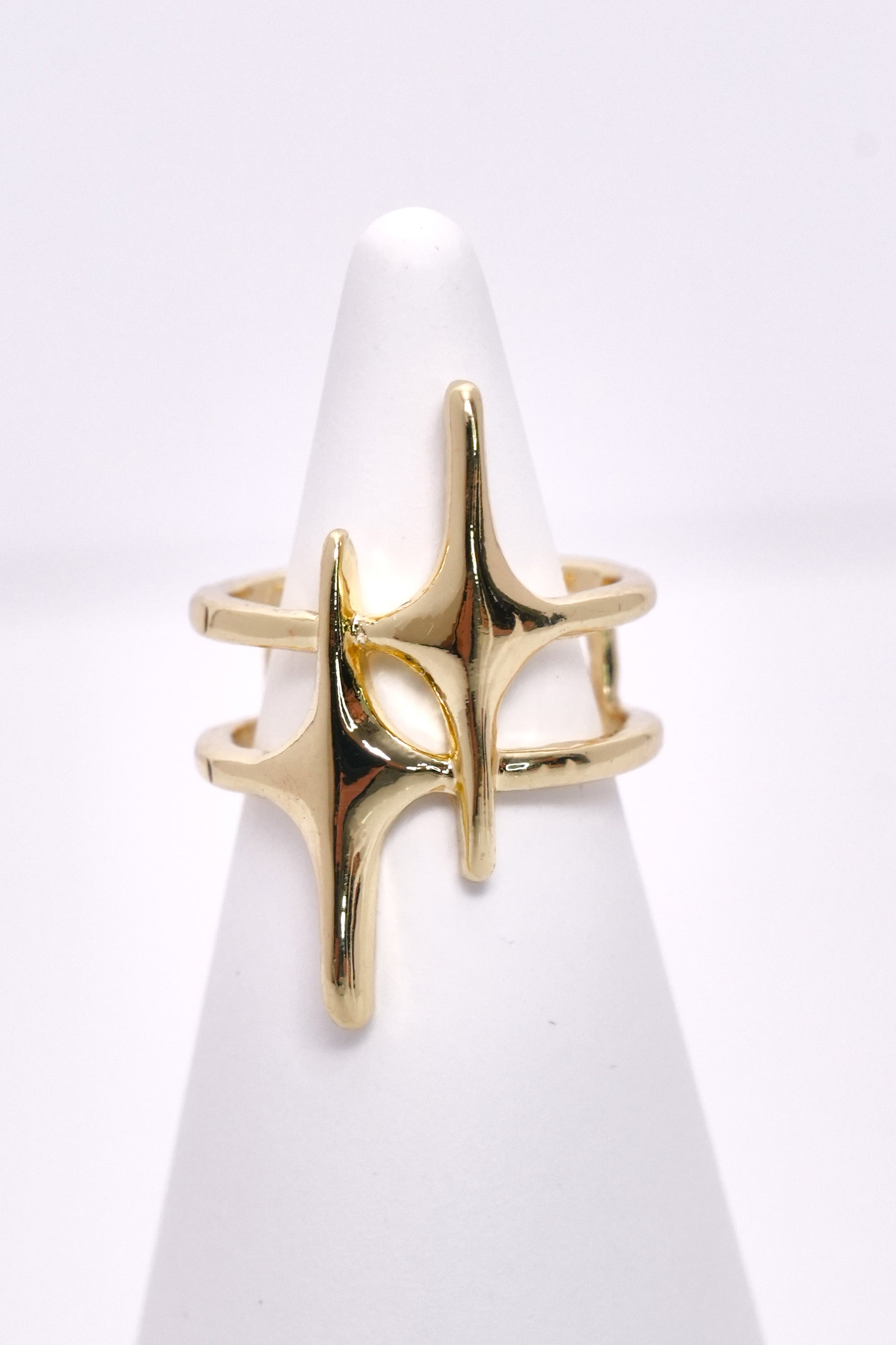 Kutup Işığı Stainless Yüzük