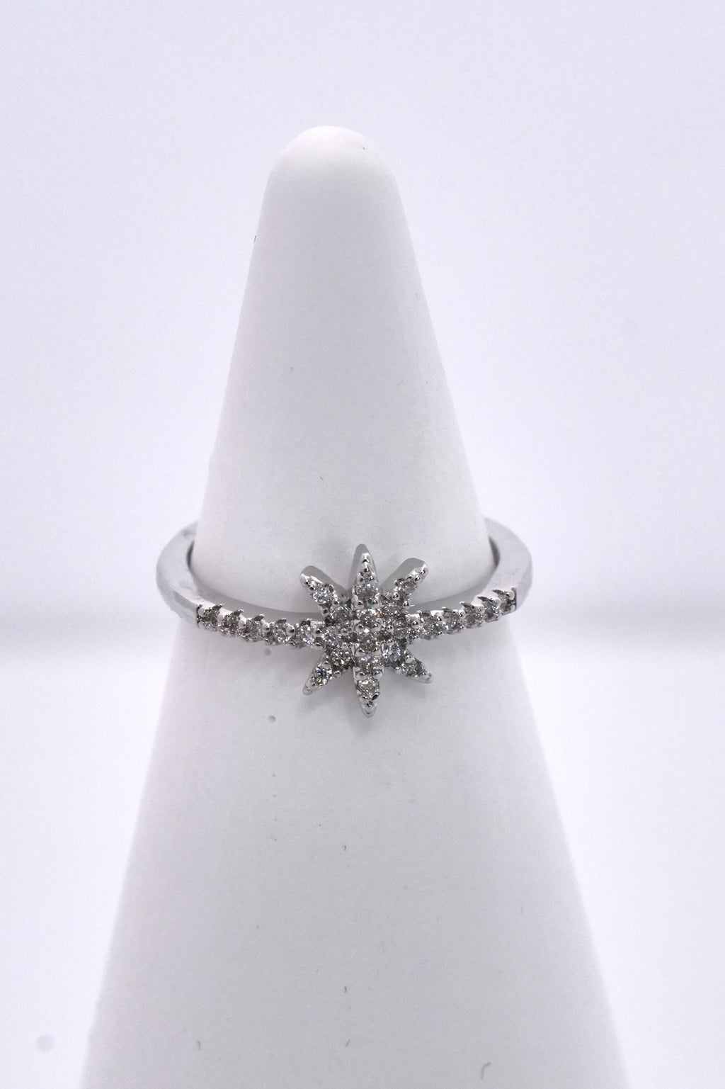 Kuzey Yıldızı Eklem Stainless Yüzük