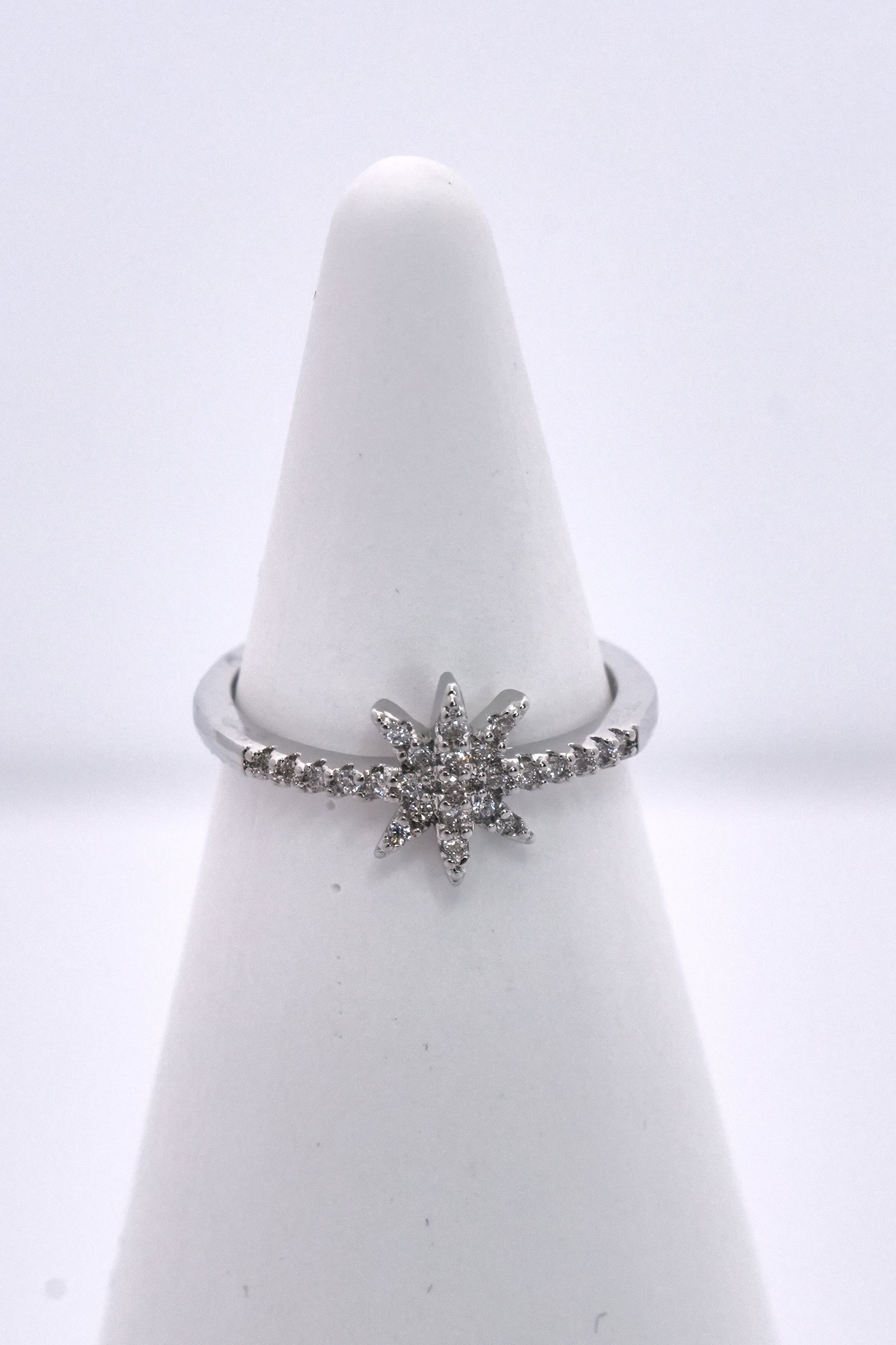 Kuzey Yıldızı Eklem Stainless Yüzük